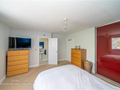 Picture 20